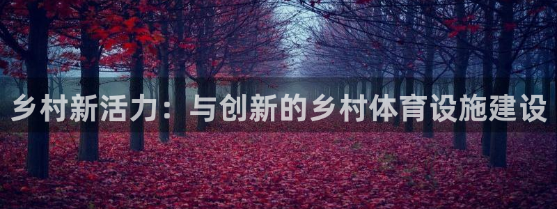 意昂体育4：乡村新活力：与创新的乡村体育设施建设