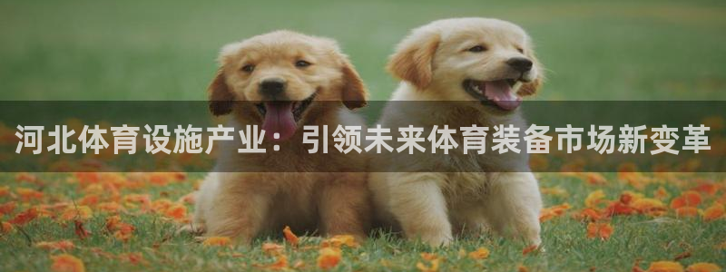 注册意昂4：河北体育设施产业：引领未来体育装备市场新