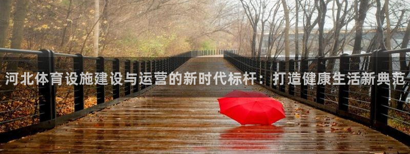 意昂体育4招商电话地址查询：河北体育设施建设与运营的新时代标