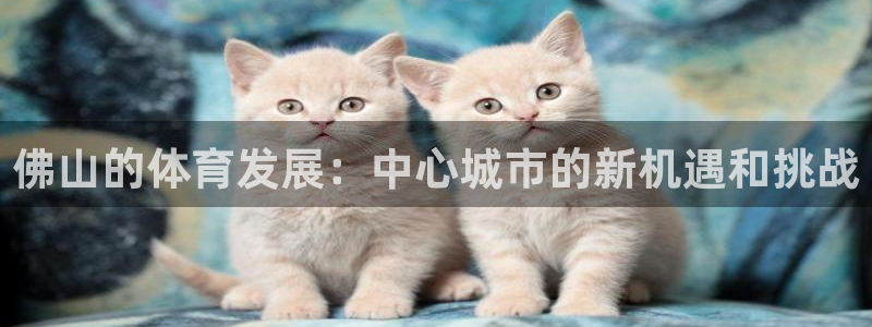 意昂4五金厂：佛山的体育发展：中心城市的新机遇和挑战