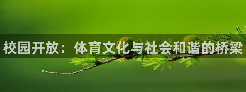 意昂体育4招商电话是多少：校园开放：体育文化与社会和