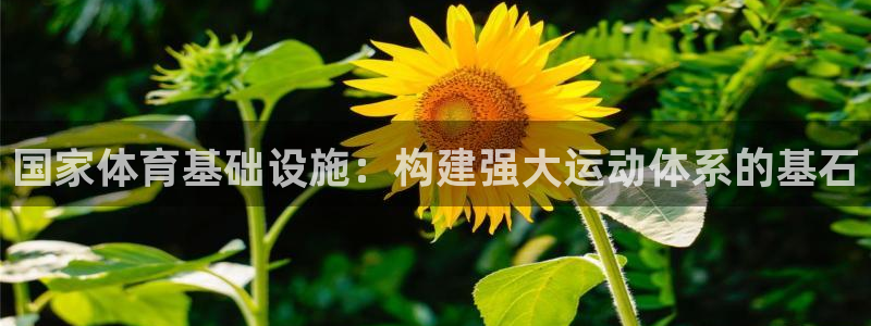 意昂体育4平台注册流程图：国家体育基础设施：构建强大