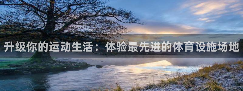 意昂4五金厂：升级你的运动生活：体验最先进的体育设施场地