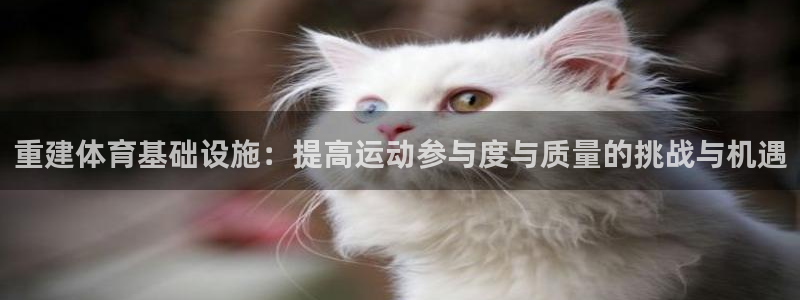 意昂体育4注册：重建体育基础设施：提高运动参与度与质