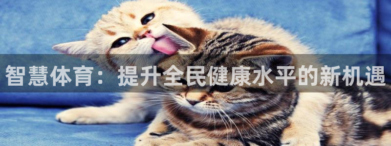 意昂体育4注册：智慧体育：提升全民健康水平的新机遇