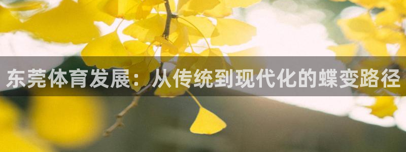 意昂体育4平台是正规平台吗知乎：东莞体育发展：从传统到现代化