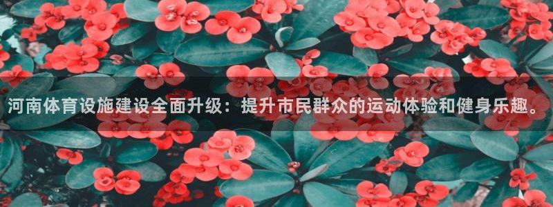 意昂体育4招商电话：河南体育设施建设全面升级：提升市民群众的