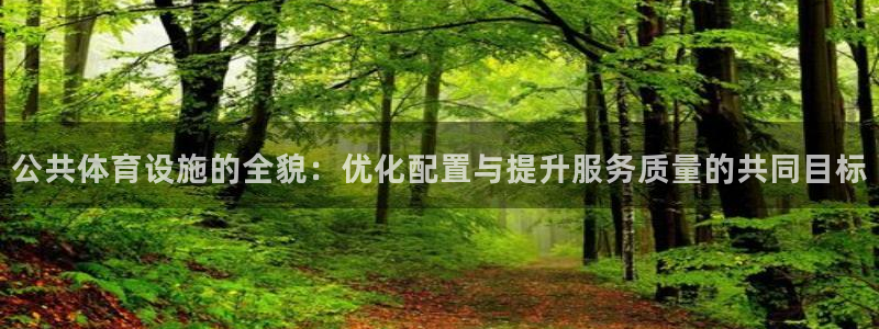 意昂集团官网：公共体育设施的全貌：优化配置与提升服务质量的共 
