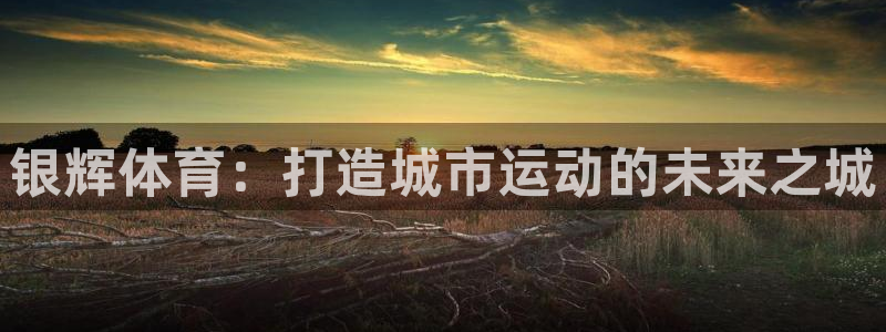 意昂4集团logo：银辉体育：打造城市运动的未来之城 