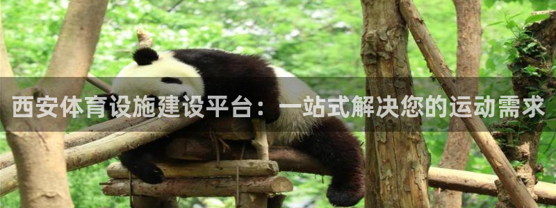 意昂4娱乐网站：西安体育设施建设平台：一站式解决您的