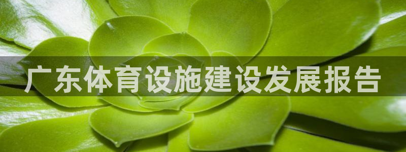 注册意昂4：广东体育设施建设发展报告