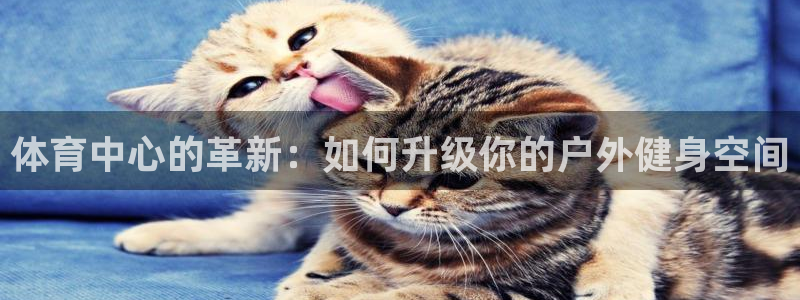 意昂体育4平台：体育中心的革新：如何升级你的户外健身