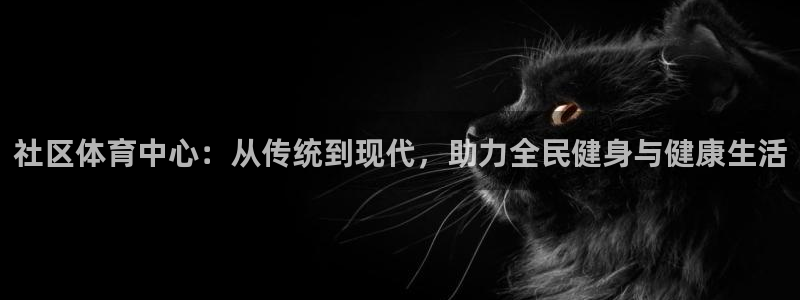 意昂体育4联系电话：社区体育中心：从传统到现代，助力