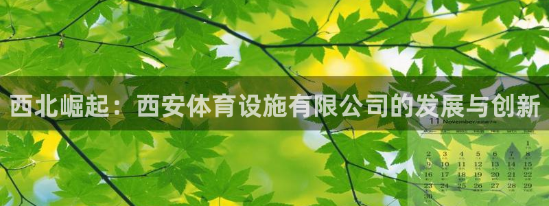 意昂体育4开户：西北崛起：西安体育设施有限公司的发展