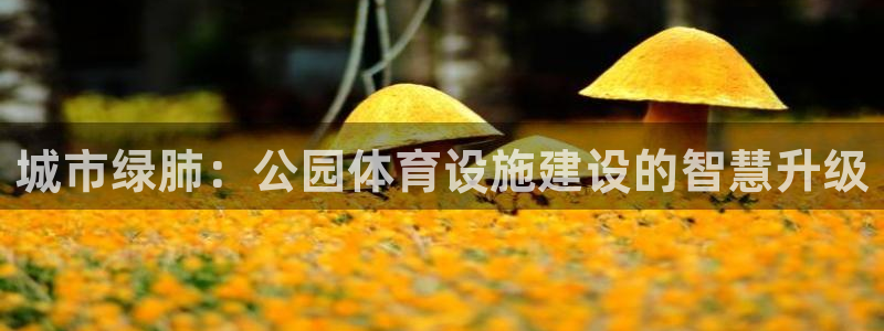 意昂体育4招商电话地址是多少：城市绿肺：公园体育设施