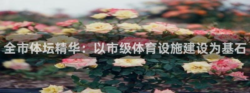 意昂体育4招商电话是多少啊：全市体坛精华：以市级体育