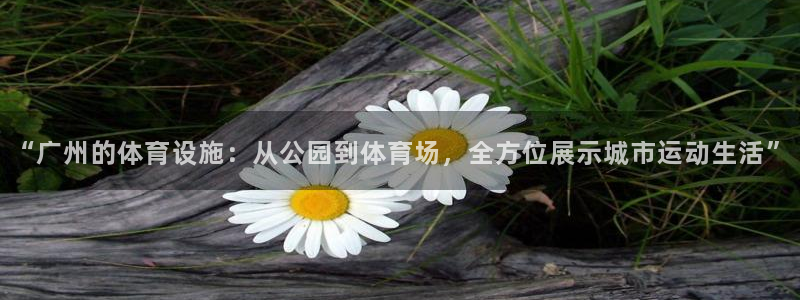 意昂4娱乐首页网站大全：“广州的体育设施：从公园到体