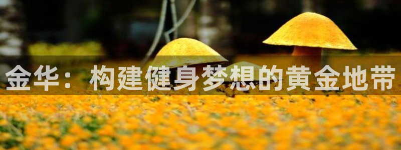 意昂体育4招商电话号码是多少：金华：构建健身梦想的黄