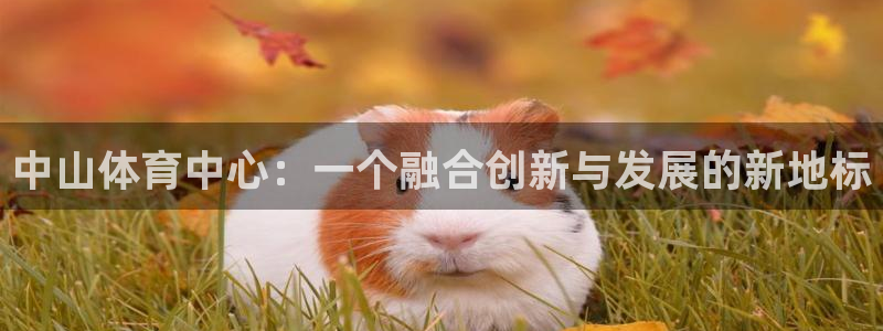 意昂平台体育：中山体育中心：一个融合创新与发展的新地