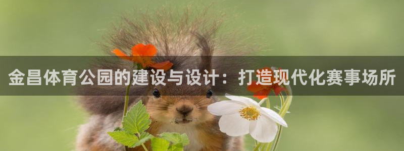 意昂4神州：金昌体育公园的建设与设计：打造现代化赛事