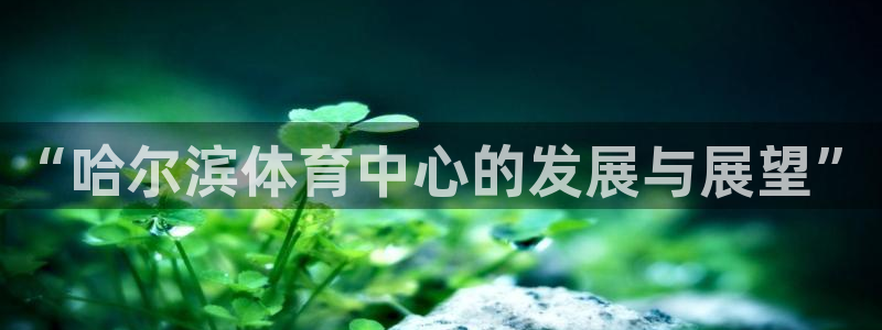 意昂4娱乐：“哈尔滨体育中心的发展与展望”