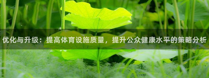意昂4集团官网网址：优化与升级：提高体育设施质量，提