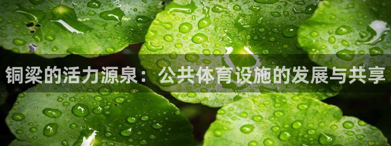 意昂4娱乐首页官网下载：铜梁的活力源泉：公共体育设施