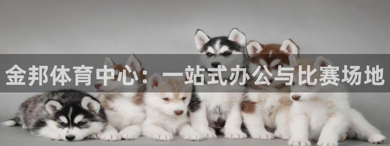 意昂4五金厂：金邦体育中心：一站式办公与比赛场地