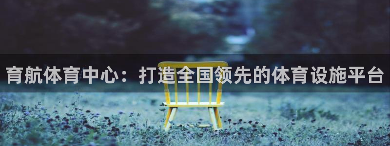 意昂平台体育：育航体育中心：打造全国领先的体育设施平