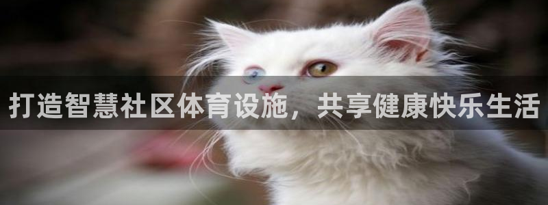 意昂4集团logo：打造智慧社区体育设施，共享健康快