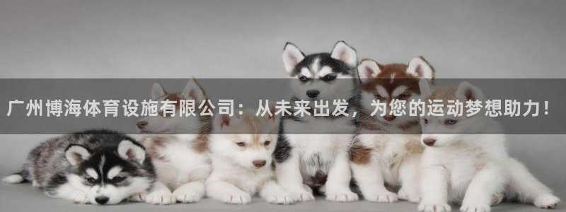 意昂4代理：广州博海体育设施有限公司：从未来出发，为