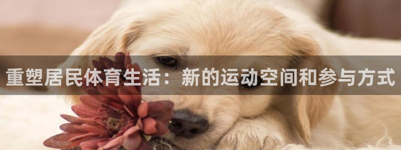 意昂4开户：重塑居民体育生活：新的运动空间和参与方式