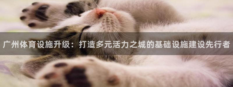 意昂体育4招商电话号码是多少号：广州体育设施升级：打