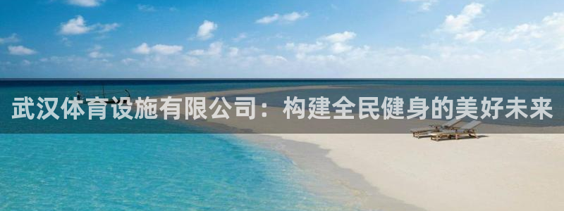 意昂体育4官方客服电话：武汉体育设施有限公司：构建全