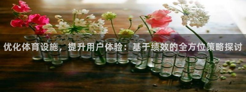 意昂体育4软件：优化体育设施，提升用户体验：基于绩效