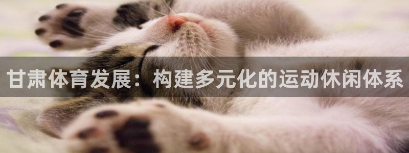意昂体育4招商电话地址查询：甘肃体育发展：构建多元化