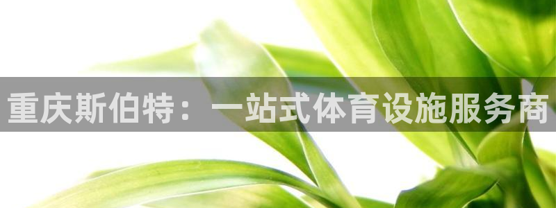 意昂体育4注册：重庆斯伯特：一站式体育设施服务商