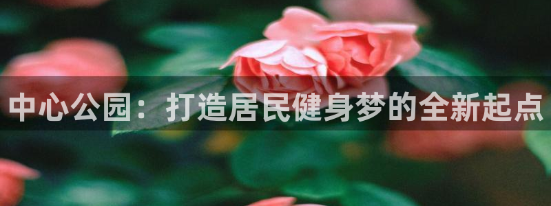 意昂体育4注册：中心公园：打造居民健身梦的全新起点