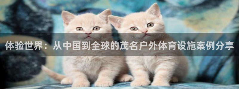 意昂体育4招商电话是多少啊：体验世界：从中国到全球的
