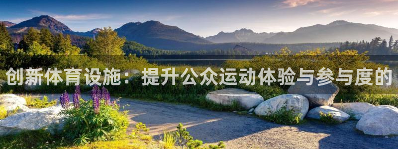 意昂4娱乐首页网站大全：创新体育设施：提升公众运动体