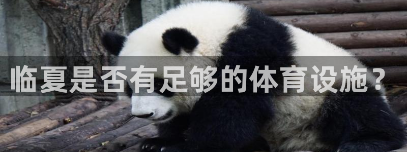 意昂4娱乐首页官网下载：临夏是否有足够的体育设施？