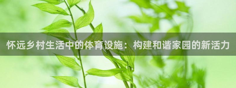 意昂4官网：怀远乡村生活中的体育设施：构建和谐家园的