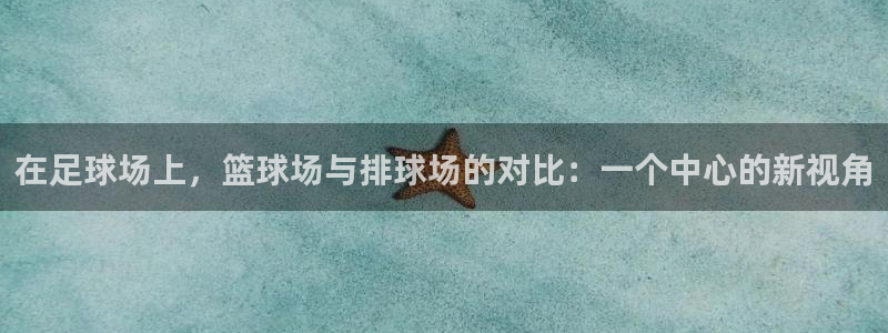 意昂4新能源：在足球场上，篮球场与排球场的对比：一个