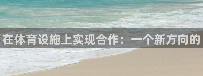 德国意昂4集团：在体育设施上实现合作：一个新方向的