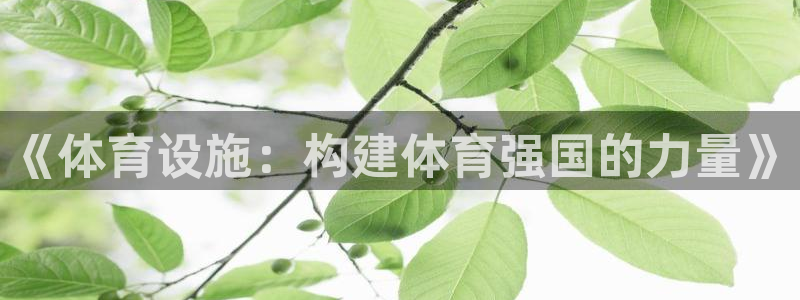 意昂体育4招商电话号码：《体育设施：构建体育强国的力