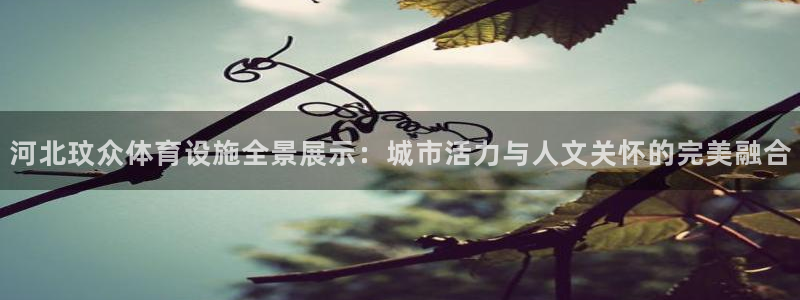 意昂体育4联系电话：河北玟众体育设施全景展示：城市活