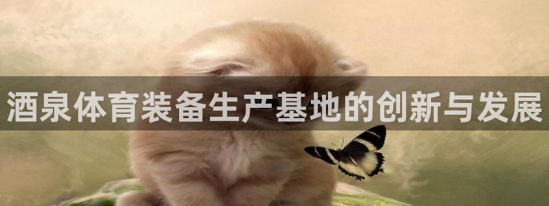 意昂体育4平台注册要钱吗安全吗：酒泉体育装备生产基地