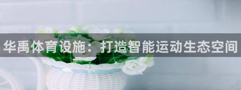 意昂4娱乐代理怎么样：华禹体育设施：打造智能运动生态