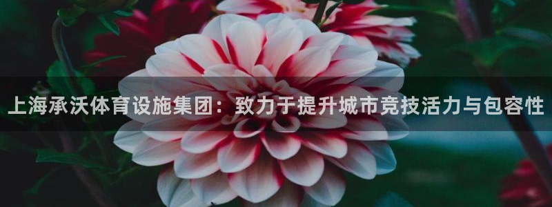 意昂4娱乐下载：上海承沃体育设施集团：致力于提升城市竞技活力