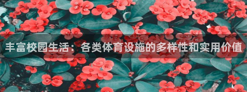 意昂体育4招商电话号码：丰富校园生活：各类体育设施的多样性和